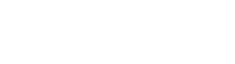 LOGO TOTOKING4D